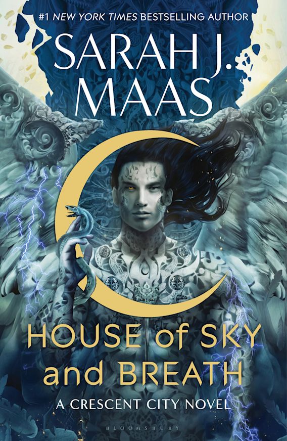 Uncovering the Secrets of House of Sky and Breath: A Book Review